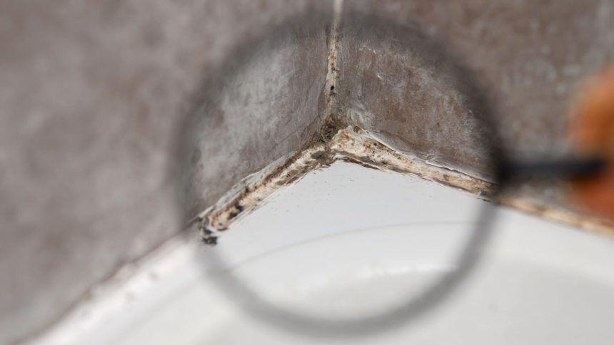 Migroa Silicone Caulk Tape. The two-dollar fix that stops bathroom mold cold