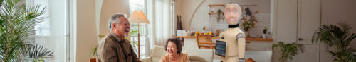 Wellness Robots for Senior Care. A framework to measure how autonomous they really are