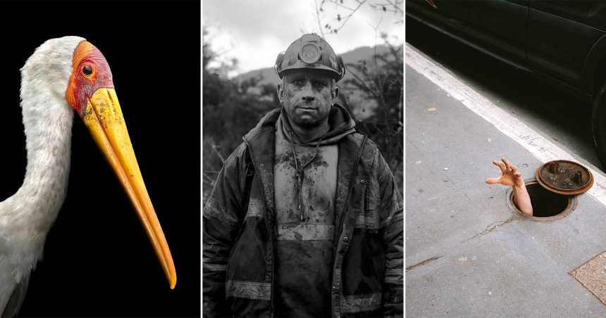 AOP Student Awards 2026. Fresh photographic talent takes the spotlight