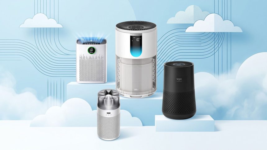 Air Purifiers For Allergy Season. Clean air without breaking the bank