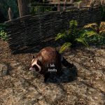 Jimothy the Raccoon. The Seattle meme critter clawing his way into your favorite games