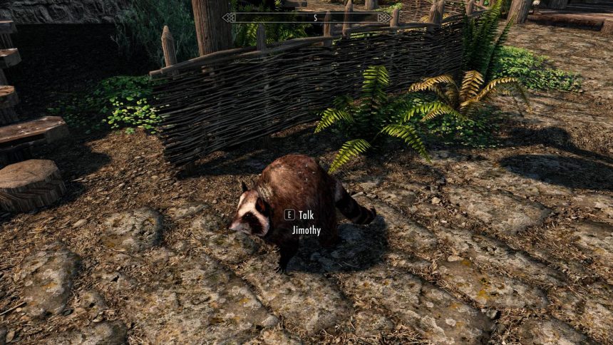 Jimothy the Raccoon. The Seattle meme critter clawing his way into your favorite games