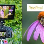 Neewer F700U. The OLED field monitor that finally won me over