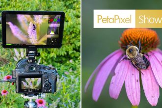 Neewer F700U. The OLED field monitor that finally won me over