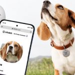 Life360 Pet Care. When your dog can no longer con its way to a second dinner