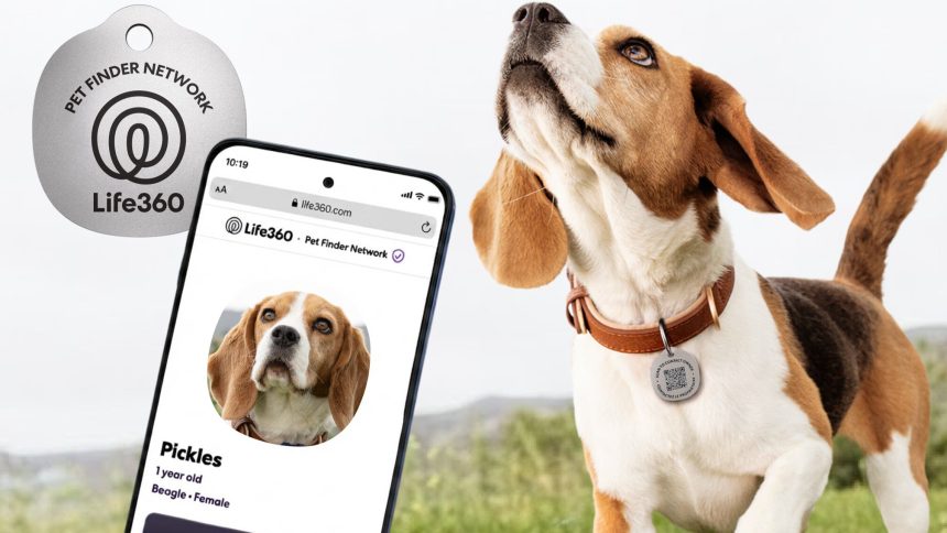 Life360 Pet Care. When your dog can no longer con its way to a second dinner