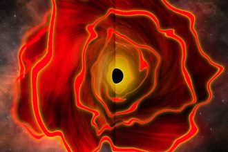 Black Hole Star MoM-BH*-1. James Webb finds a star that is really a monster in disguise