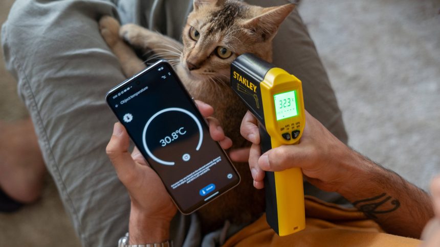 Your Phone vs the Toolbox. Why the Tape Measure Lost