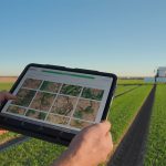 Carbon Robotics LaserWeeder. Teaching farm AI to spot weeds on the fly
