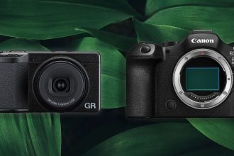 Digital Cameras Bounce Back. Japan's Government Sees a Recovery
