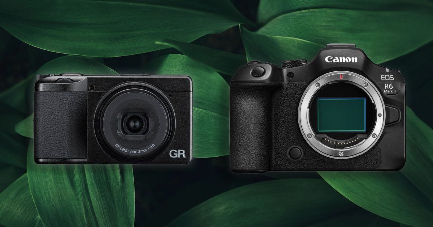 Digital Cameras Bounce Back. Japan's Government Sees a Recovery