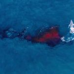 Drone Captures First Aerial Footage of a Humpback Whale Birth