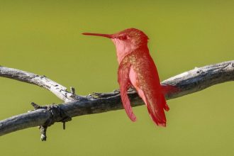 Adobe Lightroom August Update. Masking gets a serious precision boost