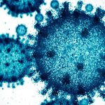 Evo AI Designs 16 Working Viruses From Scratch. Genomes Nobody Has Ever Seen