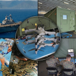 Firestorm Squall. The US Navy just 3D-printed a drone swarm at sea
