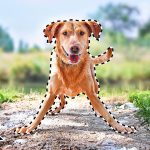 Adobe Photoshop Elements 2027. Pro-grade AI tricks move into the beginner apps