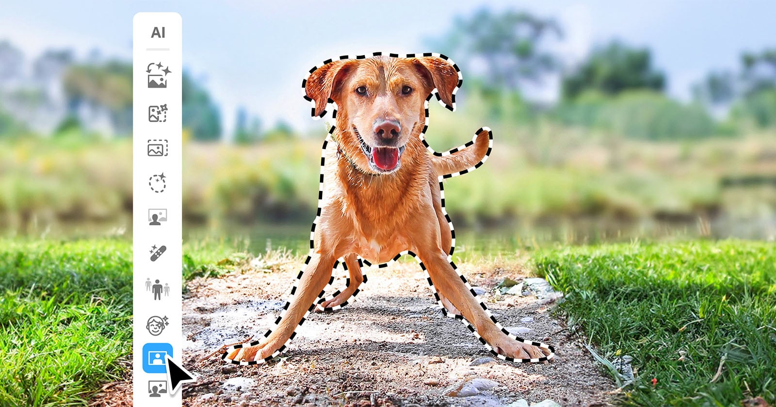 Adobe Photoshop Elements 2027. Pro-grade AI tricks move into the beginner apps