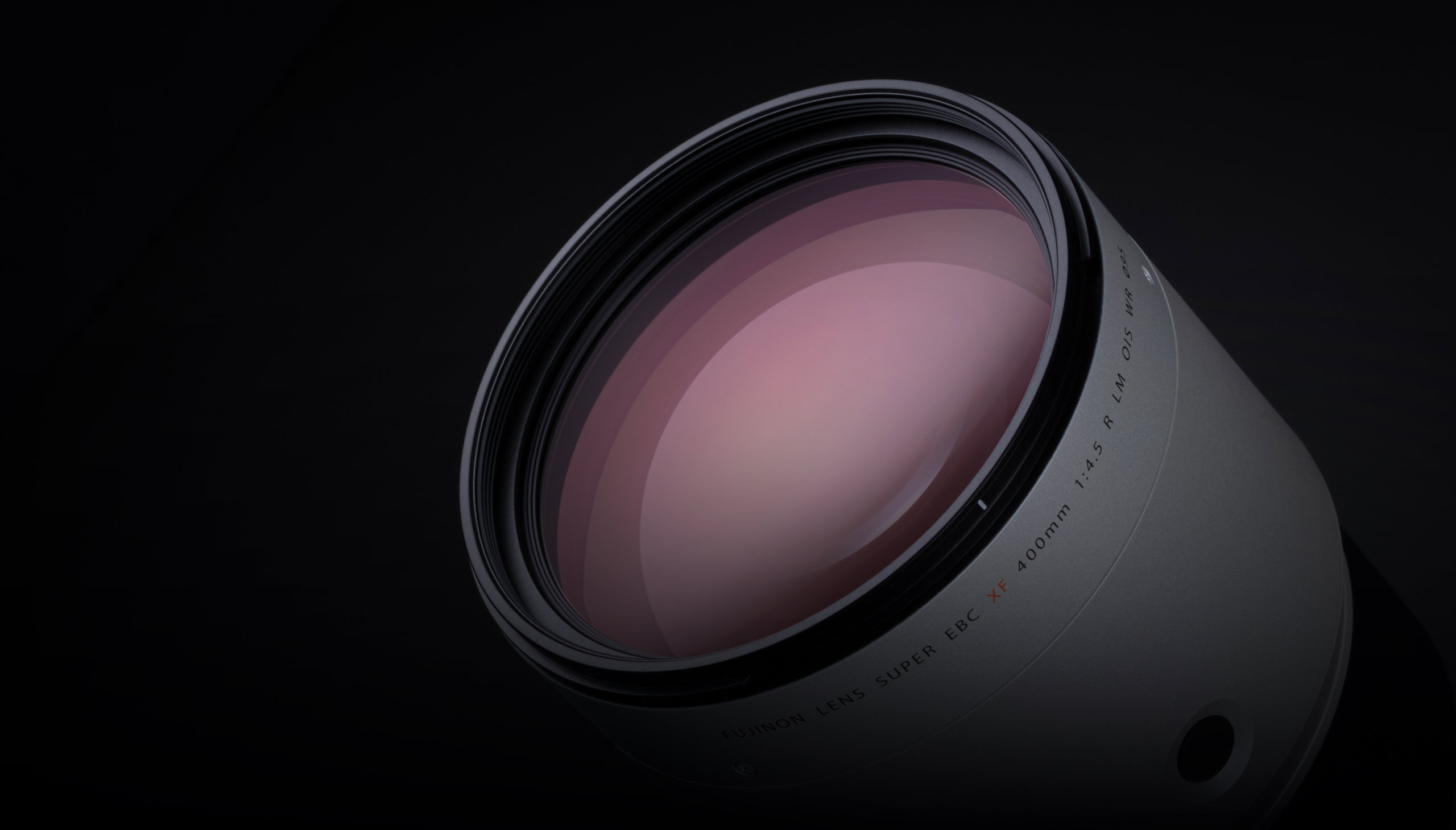 Fujifilm XF400mmF4.5 R LM OIS WR. A Wildlife Prime Meets Its First Birds