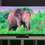 Samsung R95H. A Micro RGB flagship that loses to its own OLED sibling