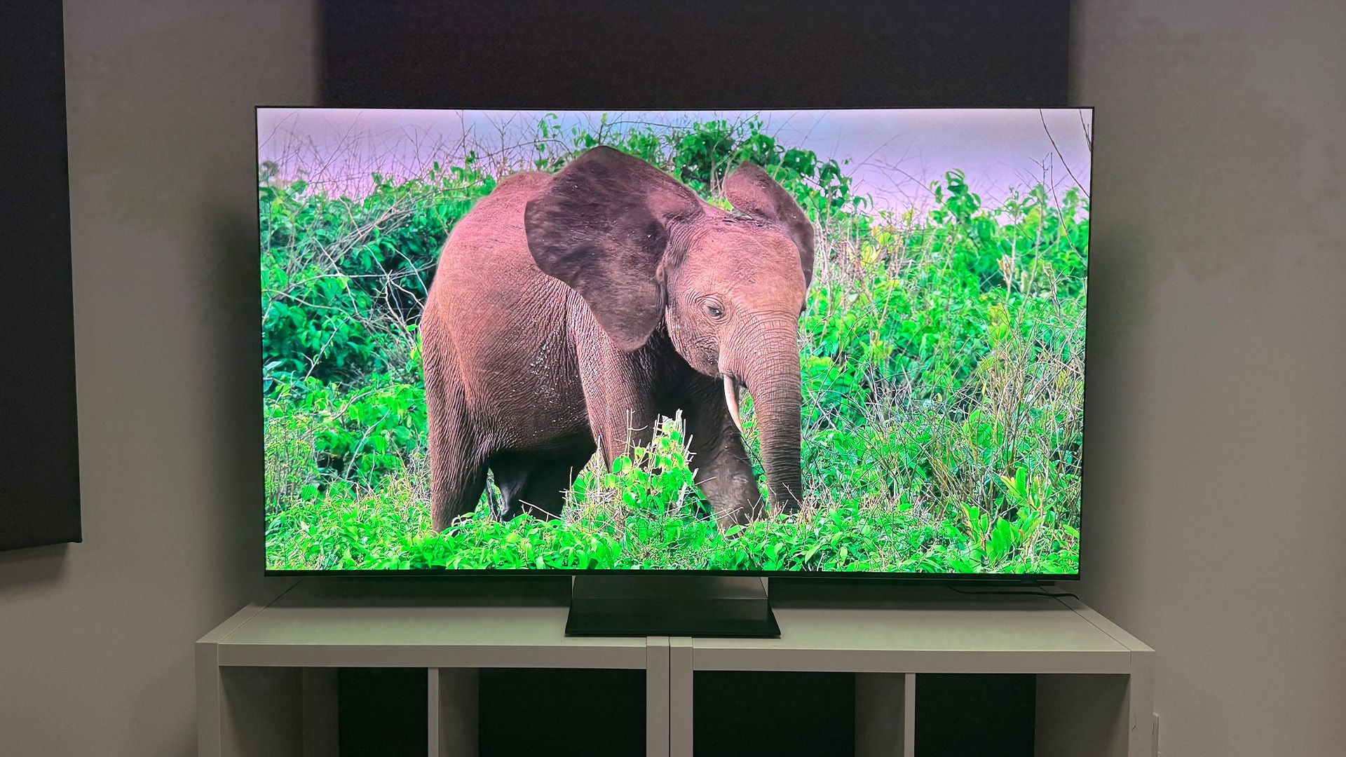 Samsung R95H. A Micro RGB flagship that loses to its own OLED sibling