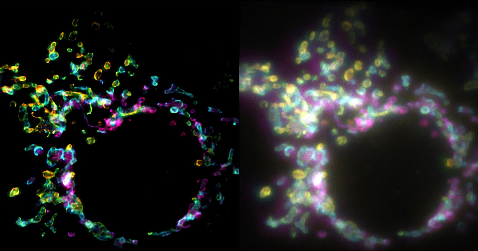 EPFL SPIFFI. Super-Resolution Microscopy Video From a Single Exposure