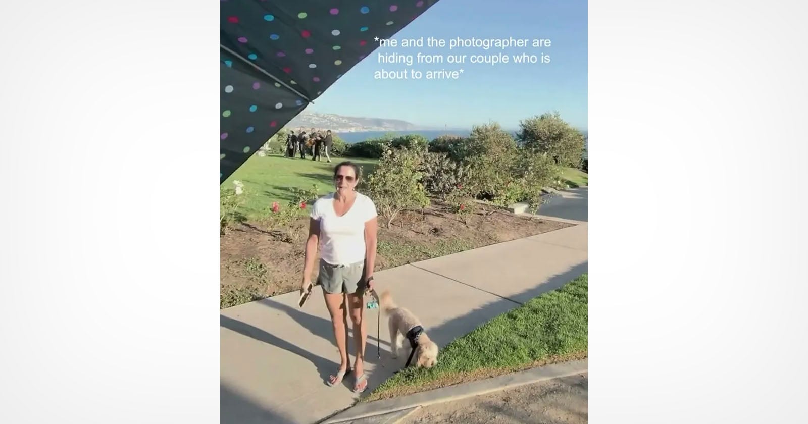 Laguna Beach Proposal Shoot. A Videographer's Camera Caught a Racist Rant